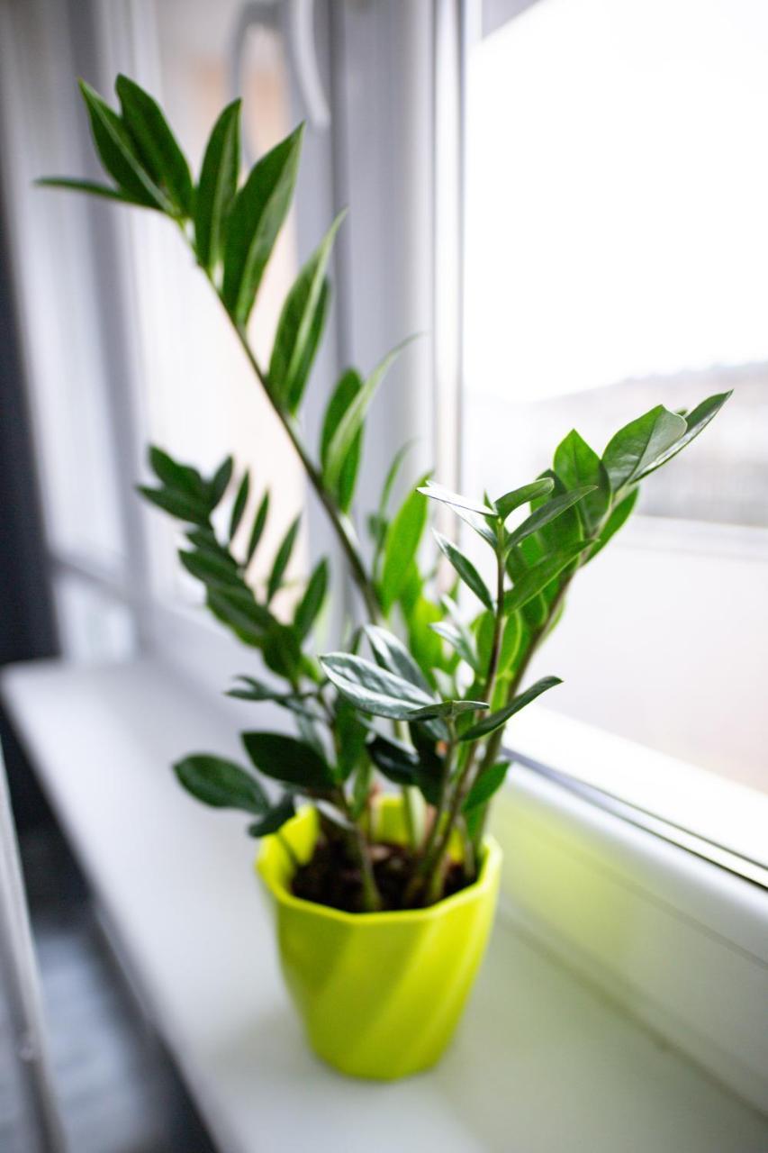 Szczecin Owl Apartment Екстериор снимка
